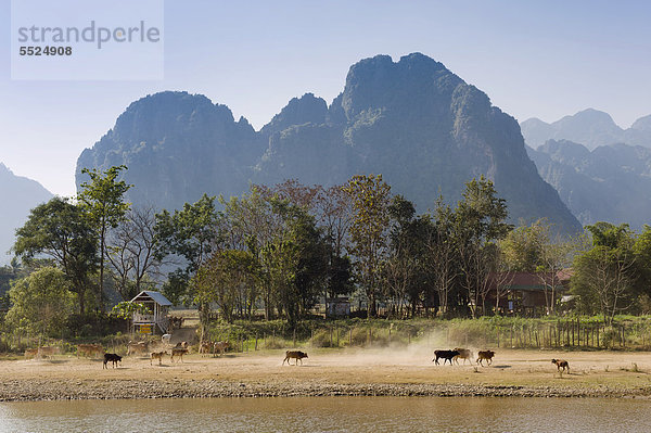 Karstgebirge  Nam Song Fluss  Vang Vieng  Vientiane  Laos  Indochina  Asien