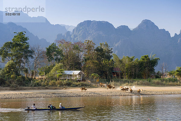 Büffelherde und Kanu am Nam Song Fluss  Karstgebirge  Vang Vieng  Vientiane  Laos  Indochina  Asien