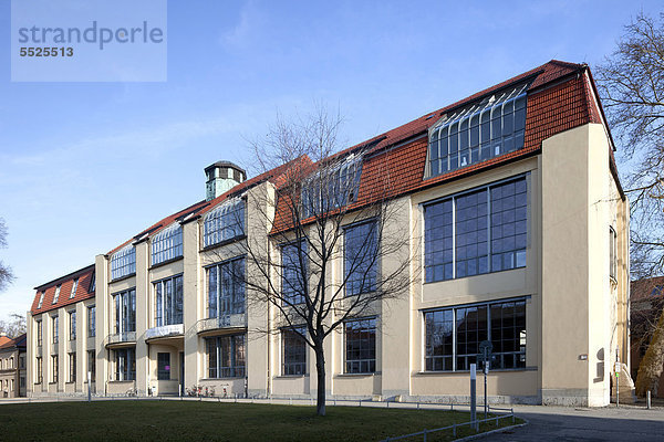 Bauhaus-Universität Weimar  Hauptgebäude  UNESCO Weltkulturerbe  Architekt Henry van de Velde  Weimar  Thüringen  Deutschland  Europa  ÖffentlicherGrund