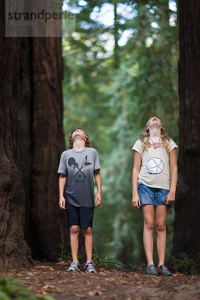 Zwei Kinder an einem Baum in Ehrfurcht nachschlagen