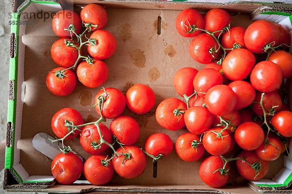 Overhead-Ansicht von reifen Tomaten