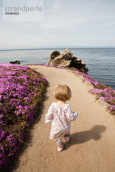 Kleinkind auf dem Weg neben rosa Blüten