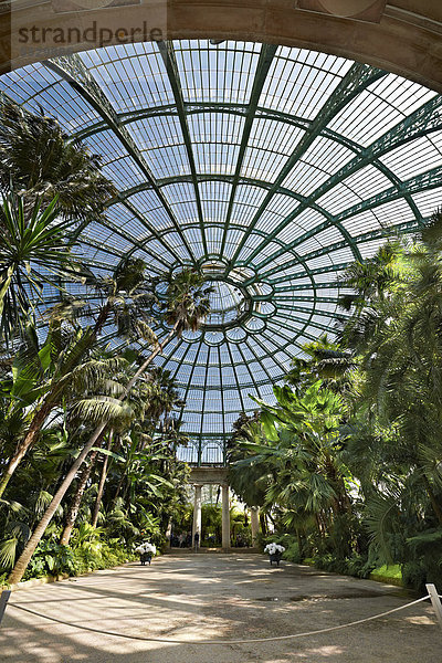Glaskuppel Jardin d'hiver  Königliche Gewächshäuser in Laken  Schloss Laken  Brüssel  Belgien