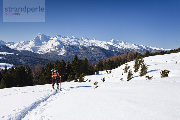 Skitourengeher beim Aufstieg zur Cima Bocche oberhalb vom Passo Valles  hinten der Colbricon und die Lagoraigruppe  daneben der Passo Rolle  Dolomiten  Trentino  Italien  Europa