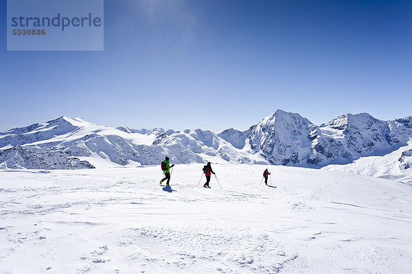 Skitourengeher beim Abstieg der hinteren Schöntaufspitze  hinten die Zufallspitze und der Cevedale sowie die Königsspitze und der Zebru  Sulden  Südtirol  Italien  Europa