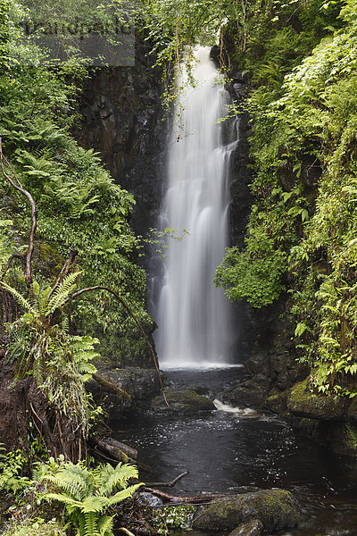 Cranny Falls nahe Carnlough  County Antrim  Nordirland  Großbritannien  Europa  ÖffentlicherGrund