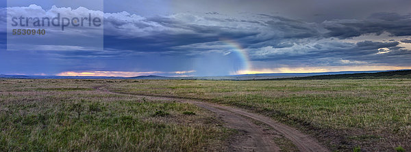 Aufziehendes Gewitter über der Masai Mara  Masai Mara Naturschutzgebiet  Kenia  Ostafrika  Afrika  ÖffentlicherGrund