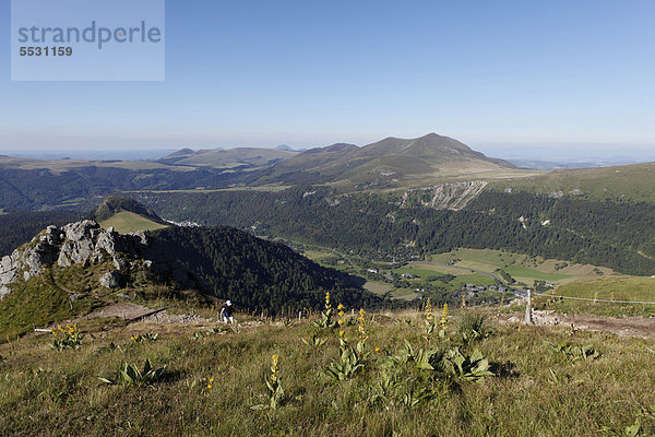 Monts Dore-Massiv  Wanderer  Parc Naturel RÈgional des Volcans d'Auvergne  Regionaler Naturpark Volcans d'Auvergne  Puy de Dome  Frankreich  Europa