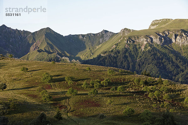 Monts Dore-Massiv  Parc Naturel RÈgional des Volcans d'Auvergne  Regionaler Naturpark Volcans d'Auvergne  Puy de Dome  Frankreich  Europa