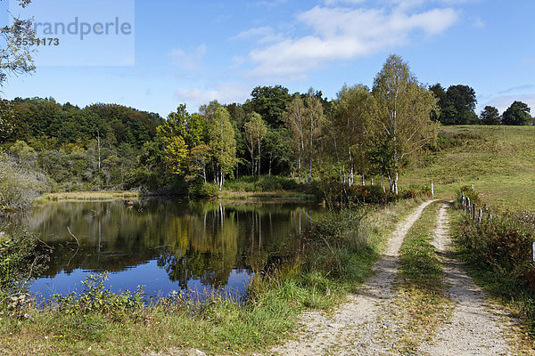 Teich in der Nähe von Ussel  Parc Naturel Regional de Millevaches en Limousin  Regionaler Naturpark Millevaches en Limousin  Correze  Limousin  Frankreich  Europa