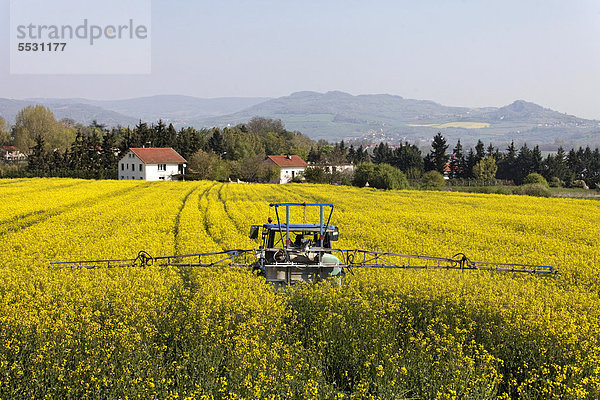 Landwirtschaftliche chemische Behandlung eines Rapsfeldes in der Nähe von Häusern  Auvergne  Frankreich  Europa