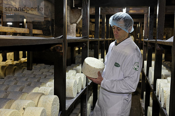 Käsemeister mit Reihen von Käse  die im Reifekeller von Roquefort SociÈtÈ lagern  Roquefort-sur-Soulzon  Aveyron  Frankreich  Europa  ACHTUNG: Nur für redaktionelle Nutzungen!