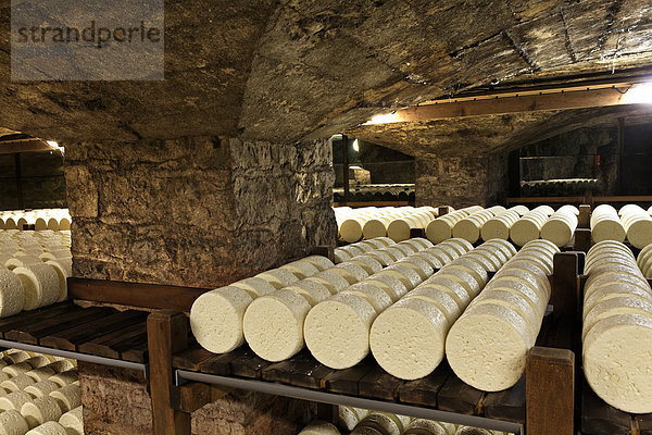 Reihen von Käse lagern im Reifekeller von Roquefort SociÈtÈ  Roquefort-sur-Soulzon  Aveyron  Frankreich  Europa  ACHTUNG: Nur für redaktionelle Nutzungen!