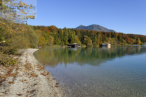 Herbstliche Morgenstimmung am Walchensee  am Obernachkanal  Oberbayern  Bayern  Deutschland  Europa