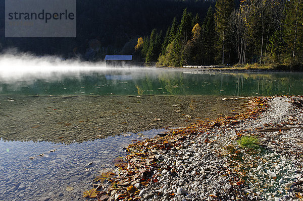 Herbstliche Morgenstimmung am Walchensee  am Obernachkanal  Oberbayern  Bayern  Deutschland  Europa