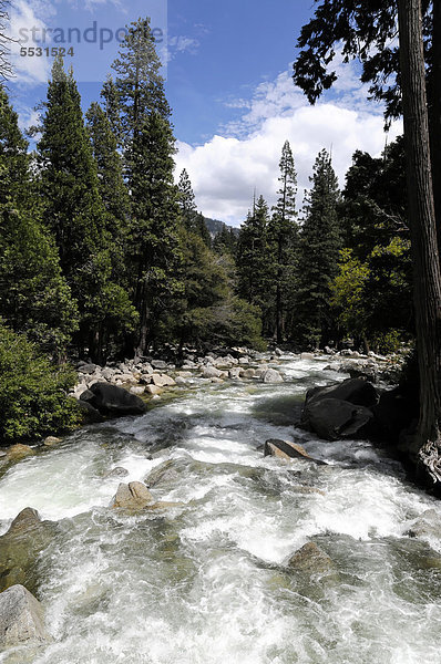 Merced River  Yosemite Nationalpark  Kalifornien  USA  Nordamerika