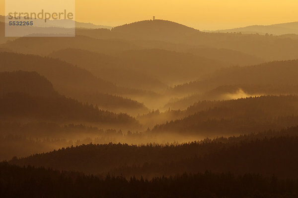 Goldenes Morgenlicht im Elbsandsteingebirge  Sächsische Schweiz  Sachsen  Deutschland  Europa