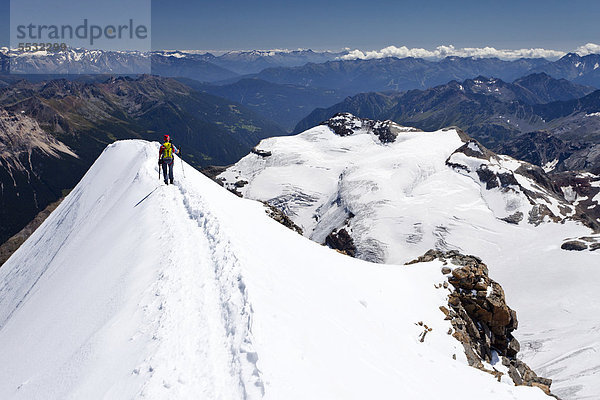 Bergsteiger auf dem Gipfelgrat vom Piz Palü  Graubünden  Schweiz  Europa