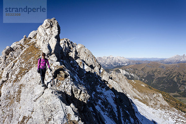 Wanderer beim Bepi Zac Klettersteig im San Pellegrino Tal oberhalb vom San Pellegrino Pass  hinten die Dolomiten  Trentino  Italien  Europa