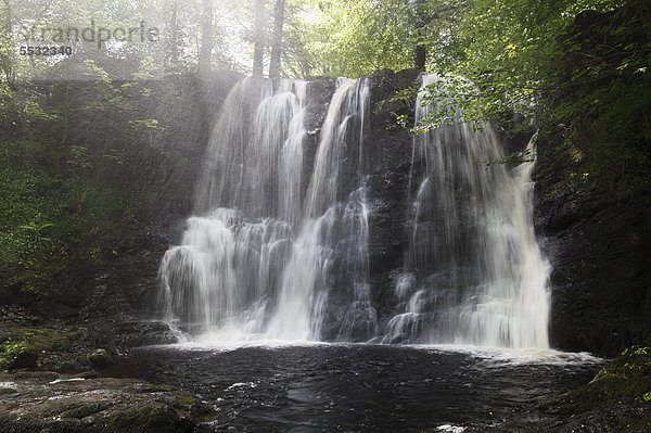 Wasserfall am Inver River  Glenariffe Forest Park  Glenariff  Glens of Antrim  County Antrim  Nordirland  Großbritannien  Europa