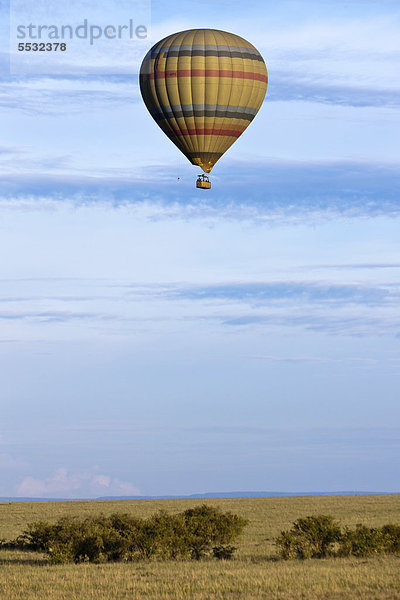 Heißluftballon am Morgen über dem Masai Mara Naturschutzgebiet  Kenia  Ostafrika  Afrika  ÖffentlicherGrund