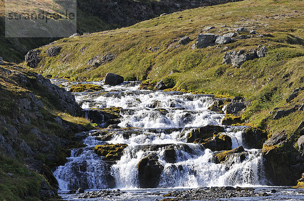 Wasserfall  bei Hesteyri  Hesteyrarfjör_ur oder Hesteyrarfjördur  Jökulfir_ir oder Jökulfirdir  Wanderparadies Hornstrandir  Westfjorde  Island  Europa