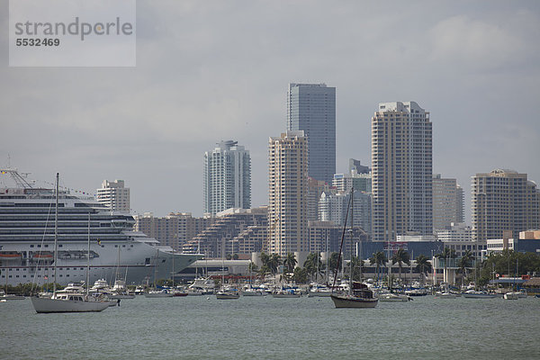 Vereinigte Staaten von Amerika USA Skyline Skylines Hafen Mut Schiff Karneval Kreuzfahrtschiff Innenstadt Florida Miami