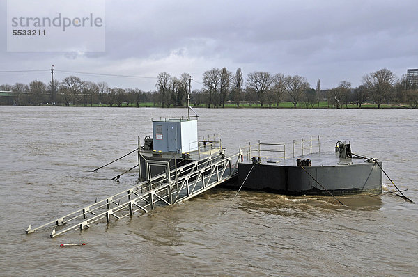 Hochwasser  Rhein  Schiffsanlegestelle  Köln  Nordrhein-Westfalen  Deutschland  Europa  ÖffentlicherGrund