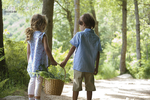 Kinder  die zusammen im Wald spazieren gehen  tragen einen Korb mit Farnwedeln.