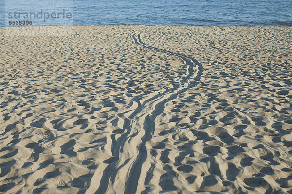 Reifenspuren im Sand am Strand