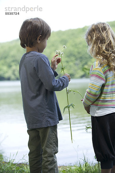 Kinder beim Betrachten von Wildblumen am See