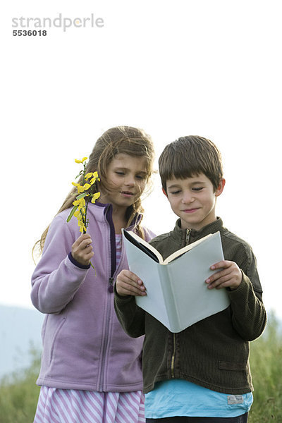 Kinder beim gemeinsamen Lesen im Freien