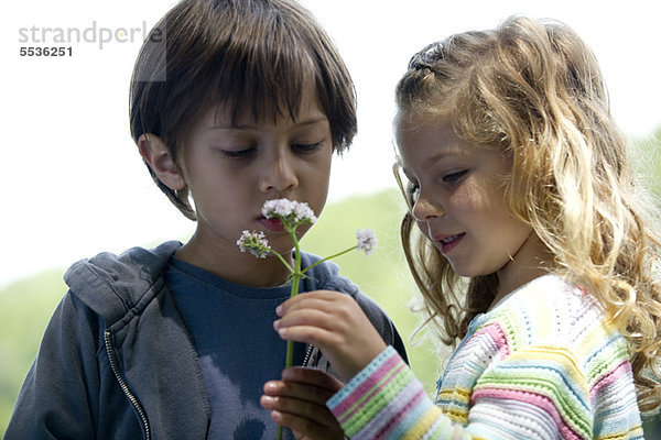 Kinder beim Betrachten von Wildblumen