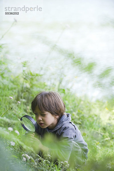 Junge schaut durch die Lupe auf die Vegetation