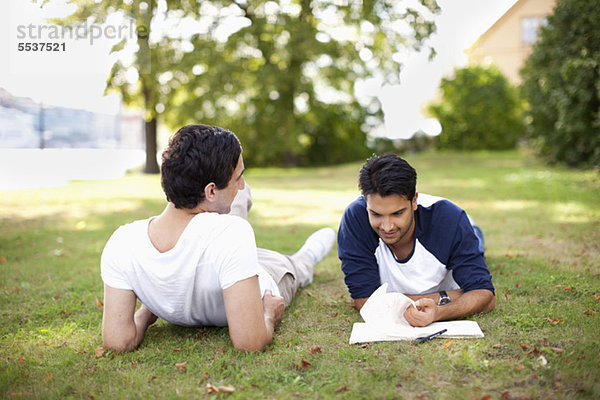 Junge männliche Freunde auf Gras im Park liegend
