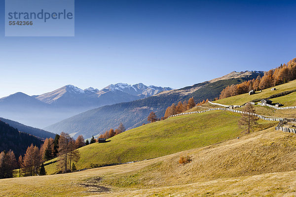 Blick in das Gedrumtal  beim Abstieg von der Gedrumalm oberhalb von Reinswaldl  hinten das Sarntal  Südtirol  Italien  Europa