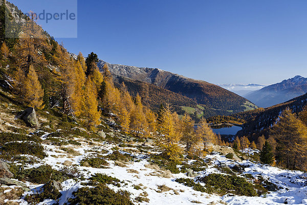 Aussicht beim Aufstieg zur Höchster Hütte  hinten das Ultental im Herbst  unten der Weißbrunnsee  Südtirol  Italien  Europa