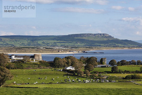 Blick über Greencastle auf Inishowen-Halbinsel  County Donegal  Irland  hinten Magilligan Point und Binevenagh-Berg in Derry  Nordirland  Britische Inseln  Europa  ÖffentlicherGrund
