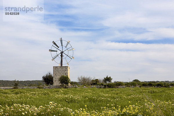 Windmühle auf Mallorca  Balearen  Spanien  Europa
