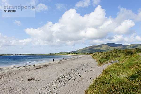 Sandstrand westlich von Dingle  Dingle Halbinsel  County Kerry  Irland  Europa