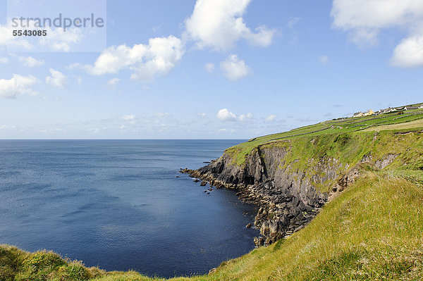 Atlantikküste bei Fahan  Dingle Halbinsel  County Kerry  Irland  Europa