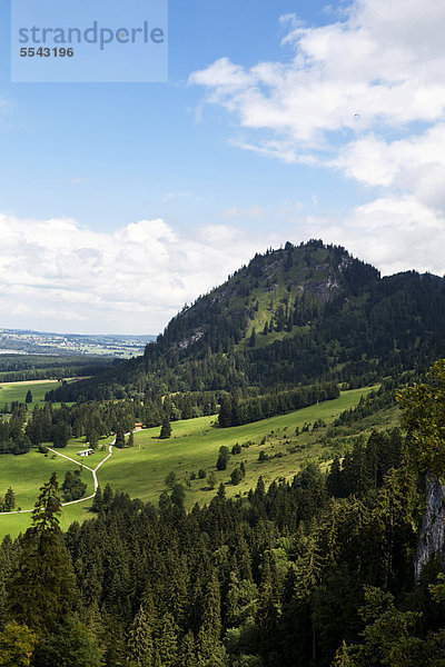 Hügelige Landschaft bei Füssen  Bayern  Deutschland  Europa