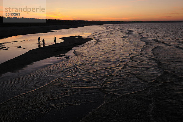 nahe Europa Mensch Menschen Strand Sonnenuntergang Silhouette über Meer 3 Baltikum Deutschland Mecklenburg-Vorpommern Prerow