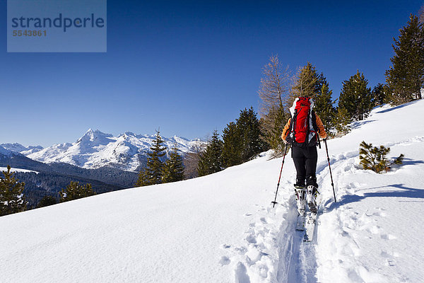 Skitourengeher beim Aufstieg zur Cima Bocche  hinten der Colbricon und die Lagoraigruppe  daneben der Passo Rolle  Dolomiten  Trentino  Italien  Europa