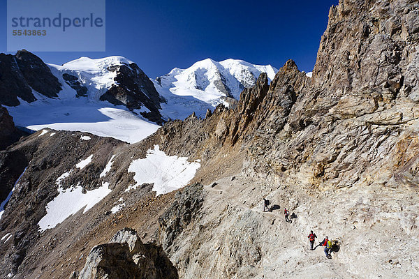 Bergsteiger beim Aufstieg zum Piz Palü  hinten der Piz Palü und rechts der Piz Cambrena  Graubünden  Schweiz  Europa