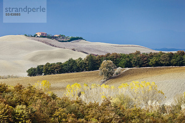 Felder oberhalb von Pienza nahe Torrita di Siena  Herbst  Toskana  Italien  Europa