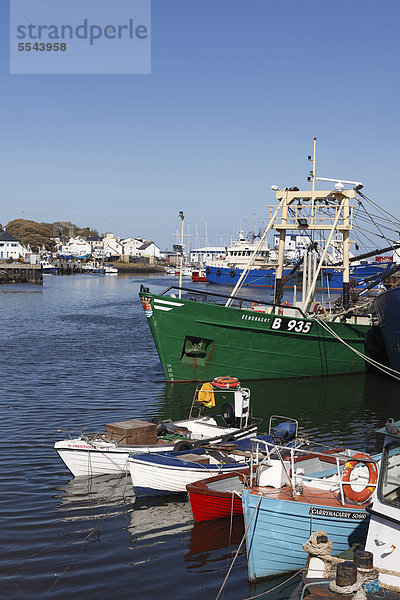 Fischerhafen Greencastle  Inishowen-Halbinsel  County Donegal  Irland  Britische Inseln  Europa  ÖffentlicherGrund