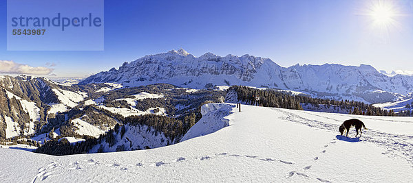 Panorama Europa Berg Schweiz