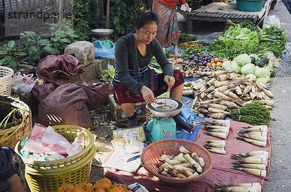Frau verkauft Bambusschösslinge auf dem Morgenmarkt  Luang Prabang  Laos  Indochina  Asien