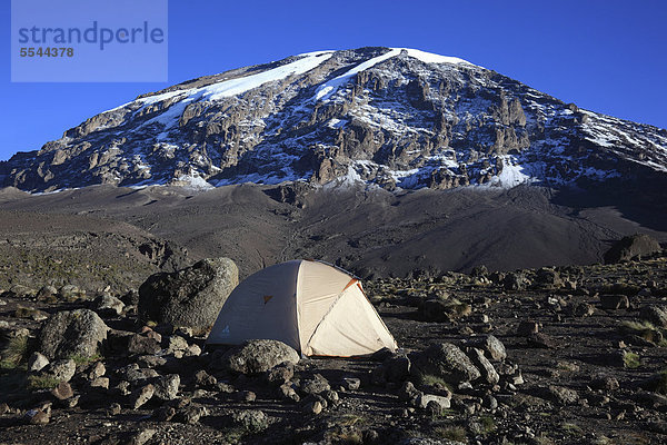 Zelt mit Blick zum Gipfel des Kilimandscharo  von der Barranco Hut aus gesehen  Tansania  Afrika